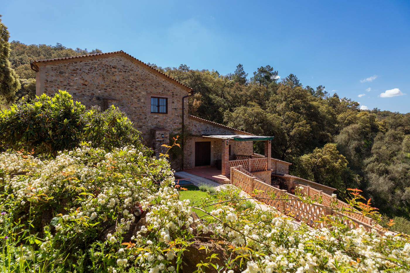 Entrada principal y zonas exteriores vistas desde el camino